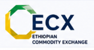 Ethiopian Commodity Exchange logo