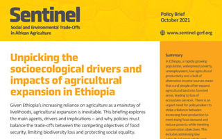 Unpicking the socioecological drivers and impacts of agricultural expansion in Ethiopia