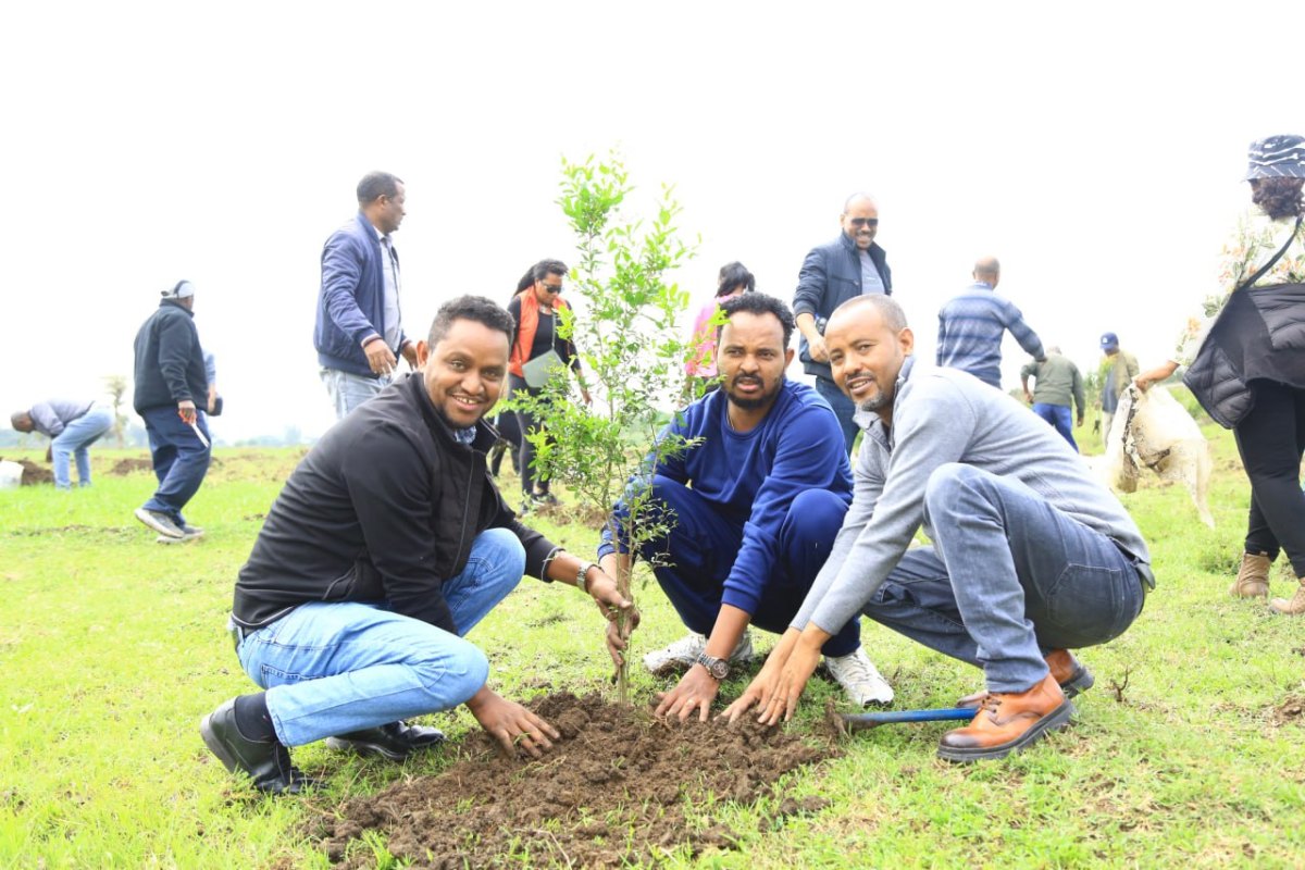 Staff Participation in Ethiopia’s Green Legacy Initiative 2026 - photo_2026-08-04_09-59-43