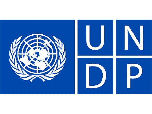 UNDP logo