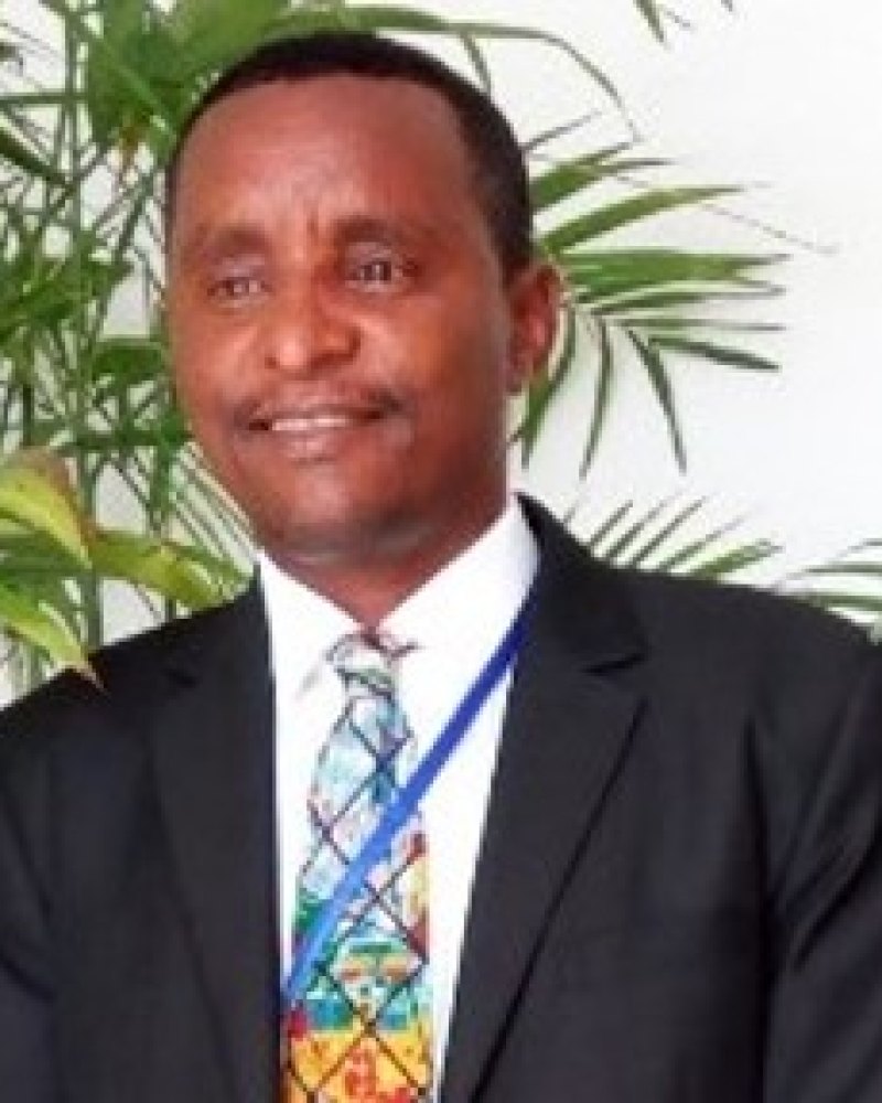 Dr Amare Matebu